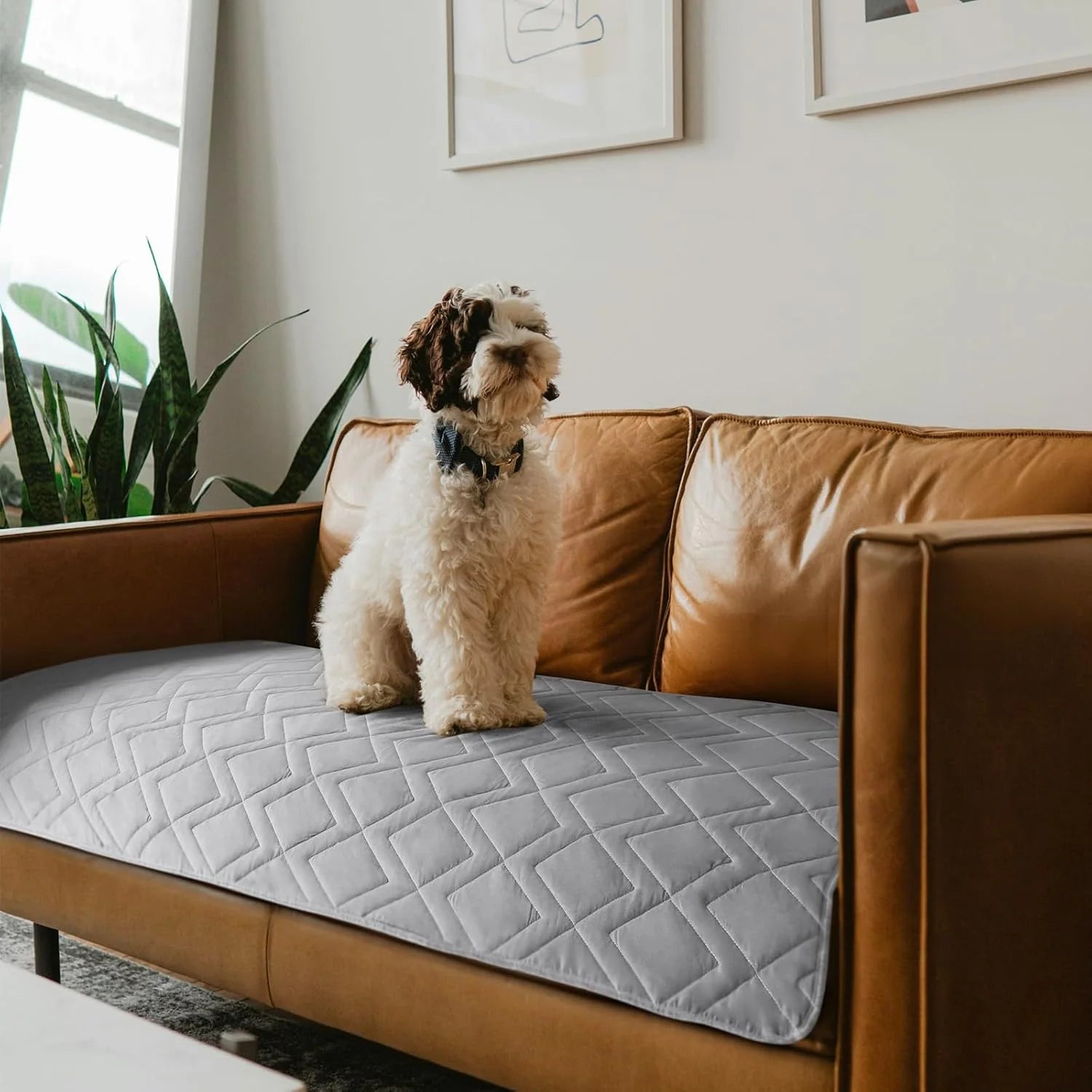 Washable Fur-Resistant Bed Cover